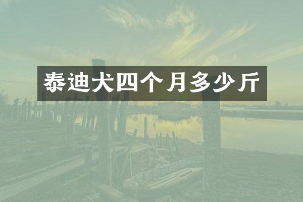 泰迪犬四个月多少斤