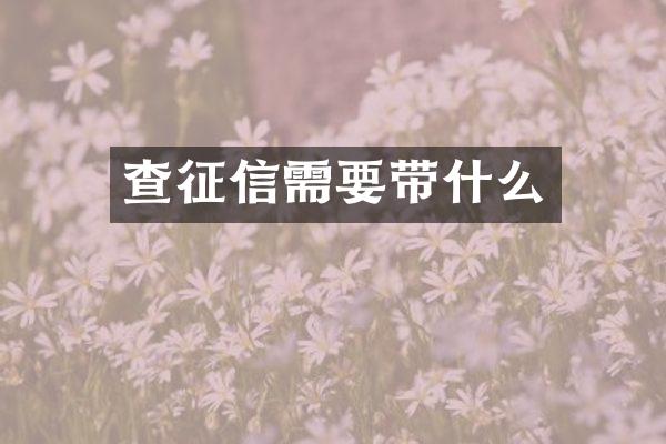 查征信需要带什么