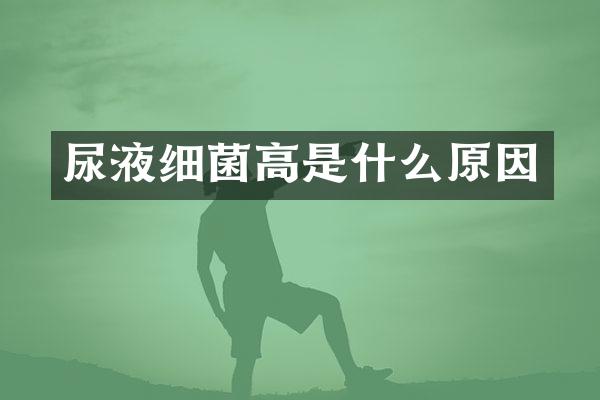 尿液细菌高是什么原因