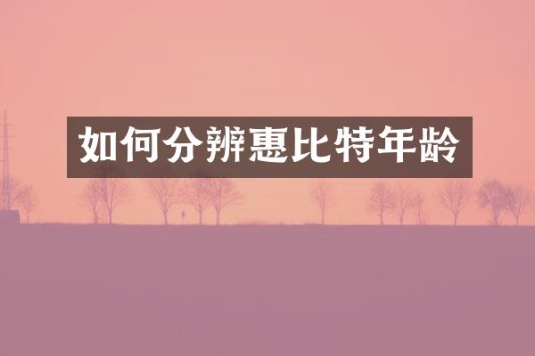如何分辨惠比特年龄