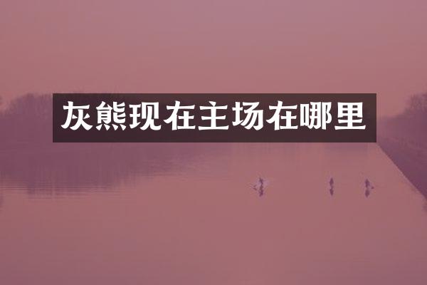 灰熊现在主场在哪里