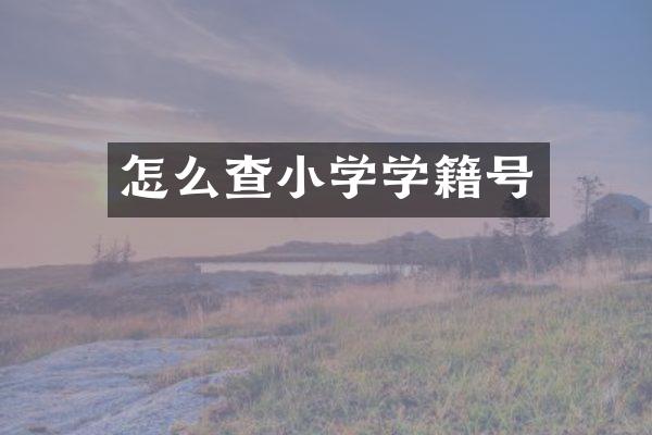 怎么查小学学籍号