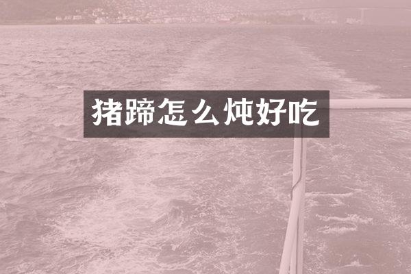 猪蹄怎么炖好吃