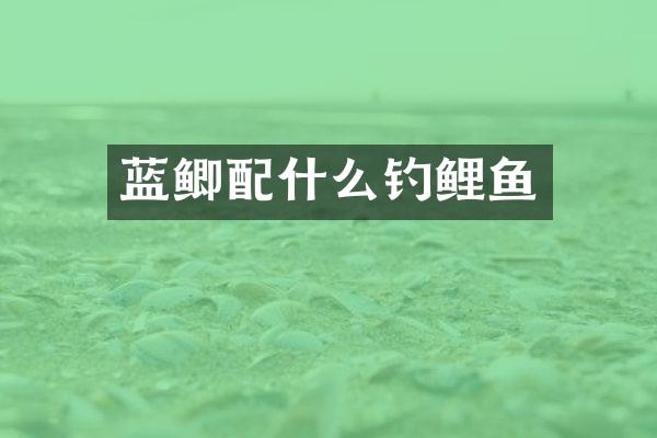 蓝鲫配什么钓鲤鱼