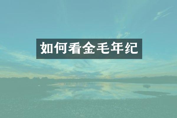 如何看金毛年纪