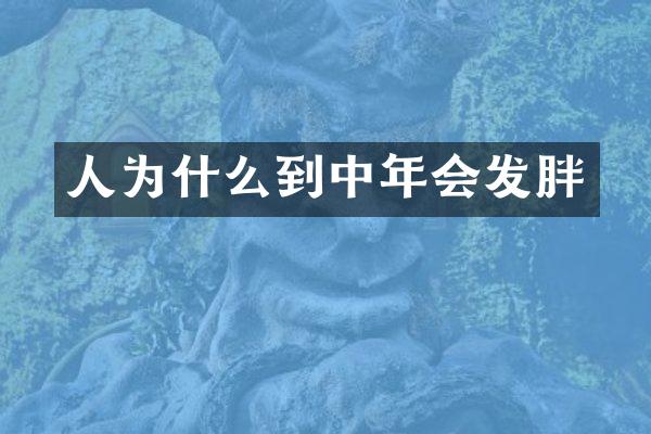 人为什么到中年会发胖