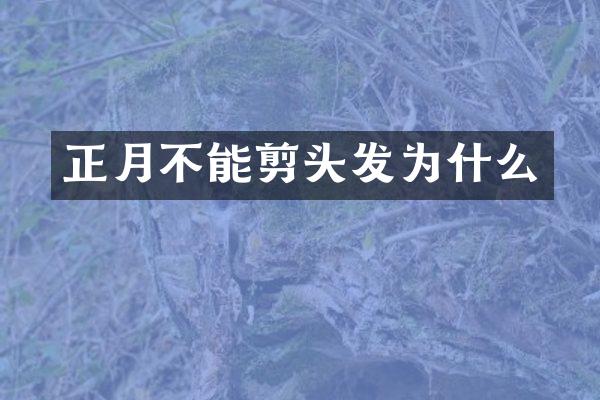 正月不能剪头发为什么