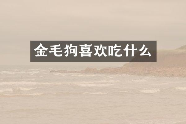 金毛狗喜欢吃什么