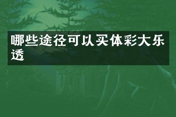 哪些途径可以买体彩大乐透