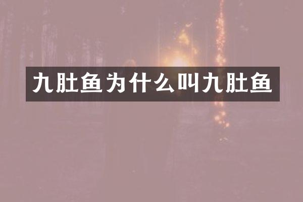 九肚鱼为什么叫九肚鱼