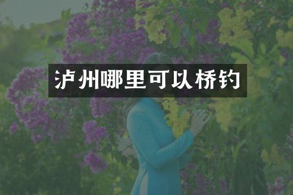泸州哪里可以桥钓