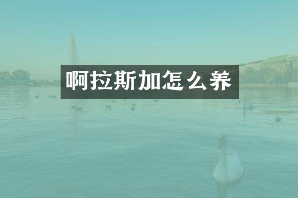 啊拉斯加怎么养