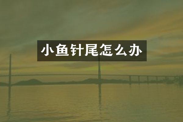 小鱼针尾怎么办