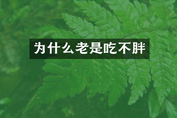 为什么老是吃不胖