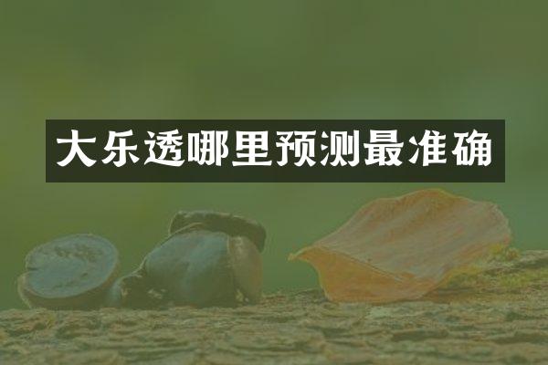 大哪里预测最准确