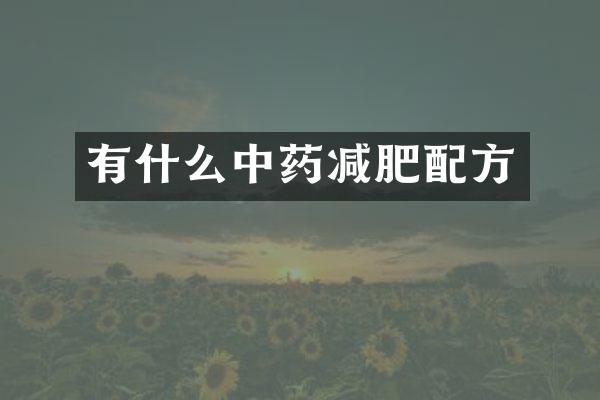 有什么中药减肥