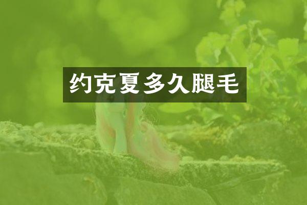 约克夏多久腿毛