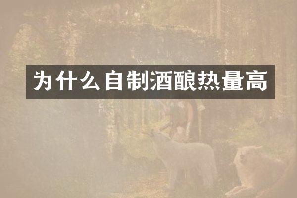 为什么自制酒酿热量高