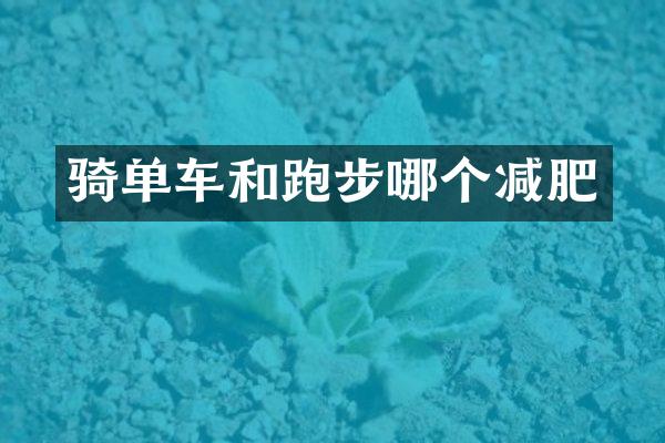 骑单车和跑步哪个减肥