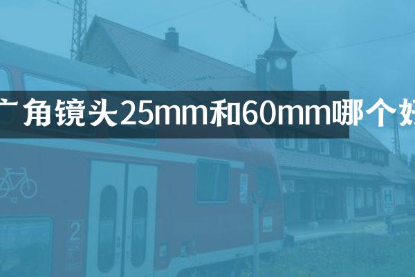 广角镜头25mm和60mm哪个好