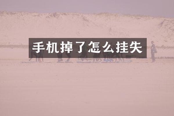 手机掉了怎么挂失