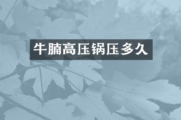 牛腩高压锅压多久