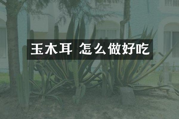 玉木耳 怎么做好吃