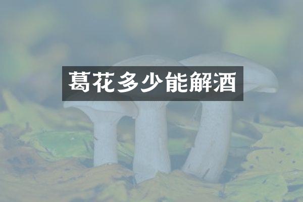 葛花多少能解酒