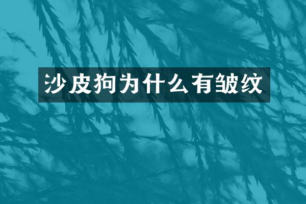 沙皮狗为什么有皱纹