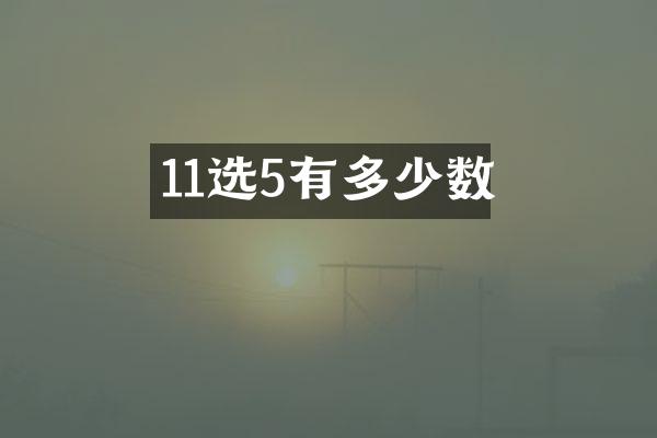 11选5有多少数