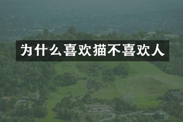 为什么喜欢猫不喜欢人