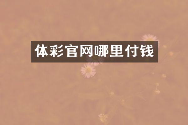 体彩官网哪里付钱