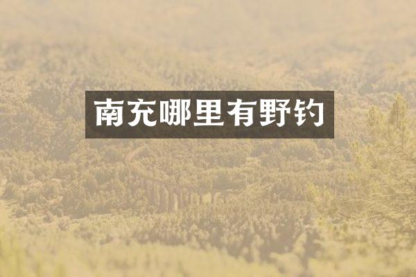 南充哪里有野钓