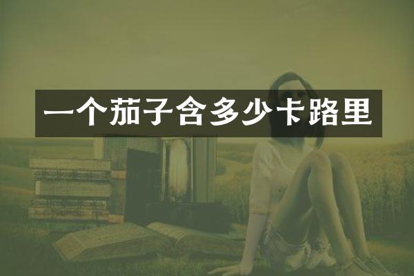 一个茄子含多少卡路里