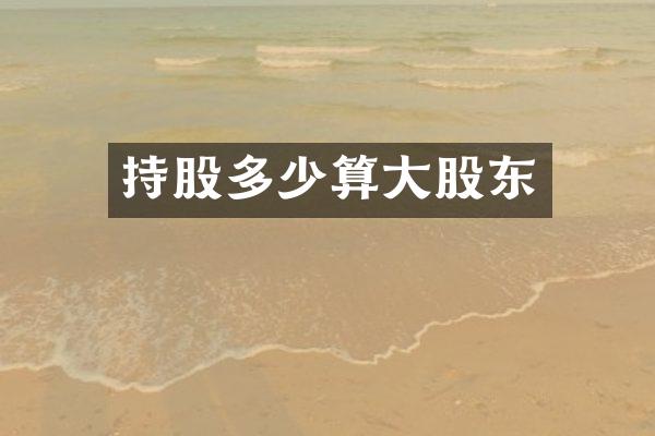 持股多少算大股东