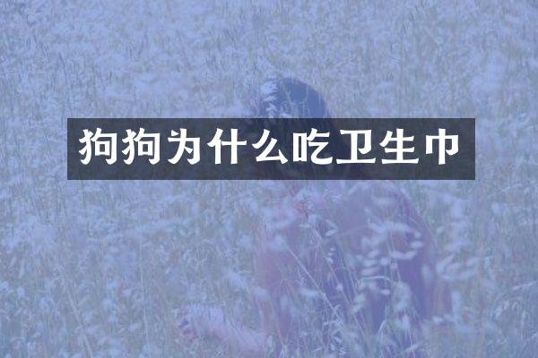 狗狗为什么吃卫生巾