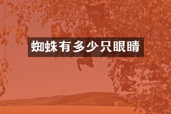 蜘蛛有多少只眼睛