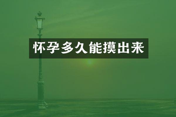 怀孕多久能摸出来