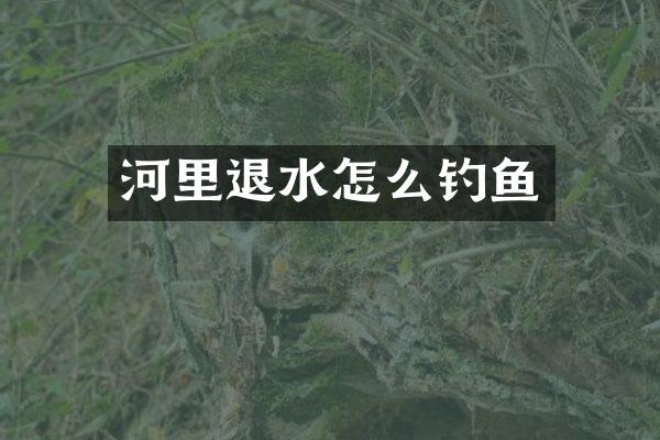 河里退水怎么钓鱼