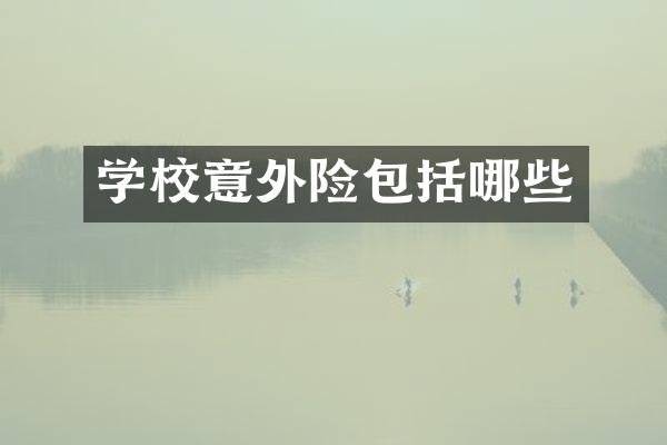 学校意外险包括哪些