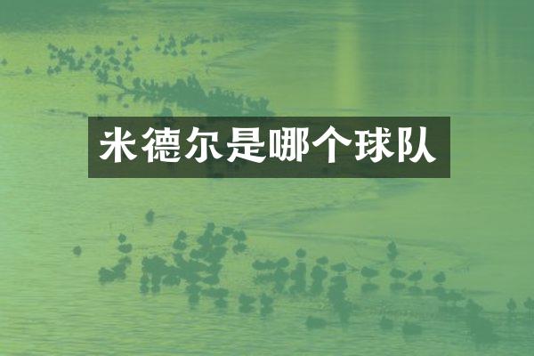 米德尔是哪个球队