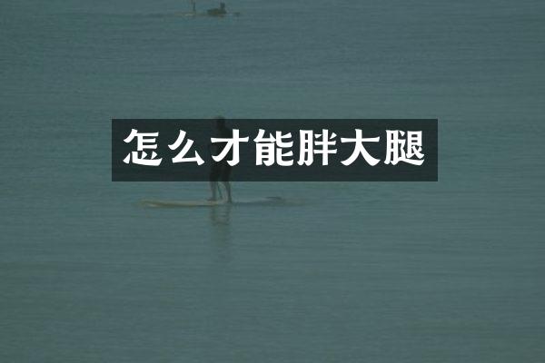 怎么才能胖大腿