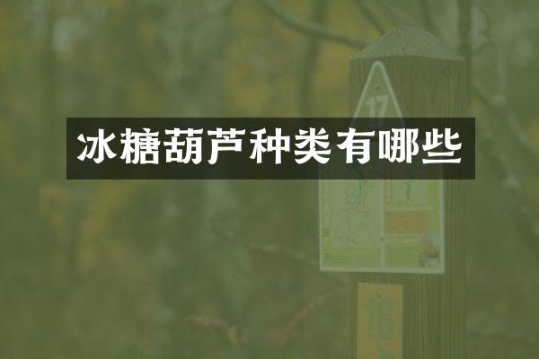 冰糖葫芦种类有哪些