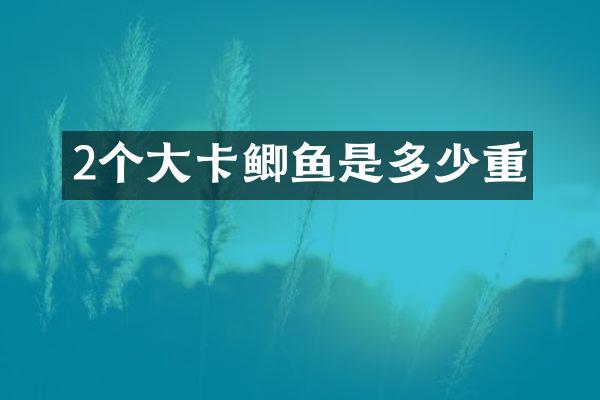 2个大卡鲫鱼是多少重