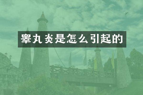 睾丸炎是怎么引起的