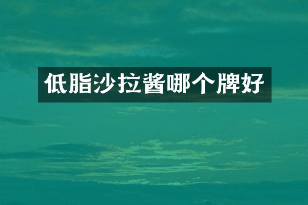 低脂沙拉酱哪个牌好