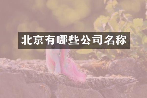 北京有哪些公司名称