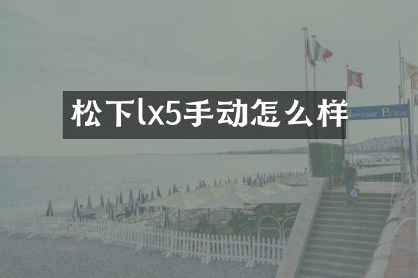 松下lx5手动怎么样