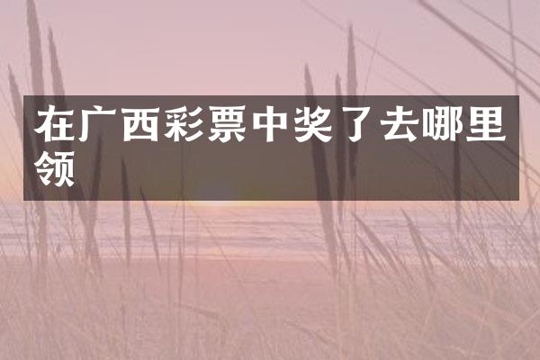 在广西彩票中奖了去哪里领