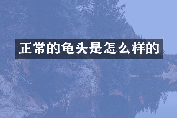 正常的龟头是怎么样的